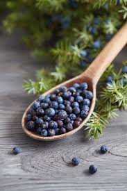 Juniper Berries